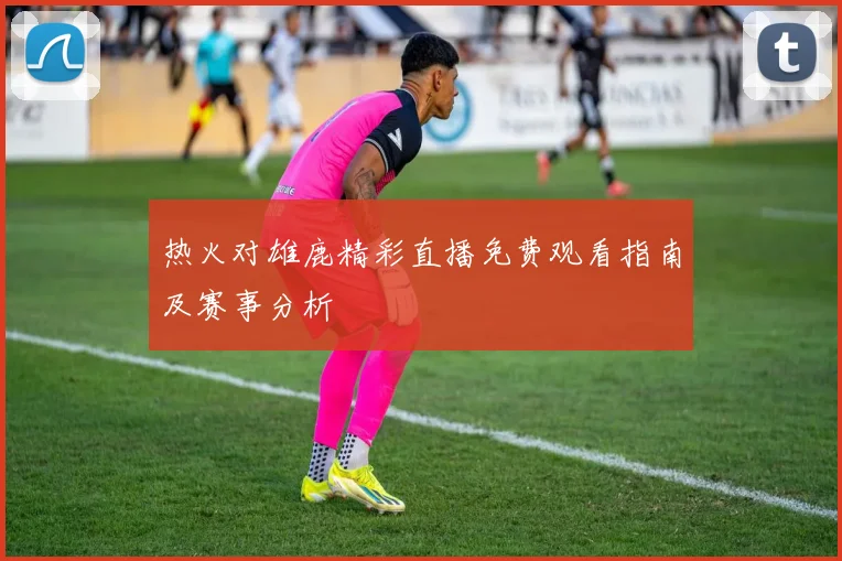 热火对雄鹿精彩直播免费观看指南及赛事分析