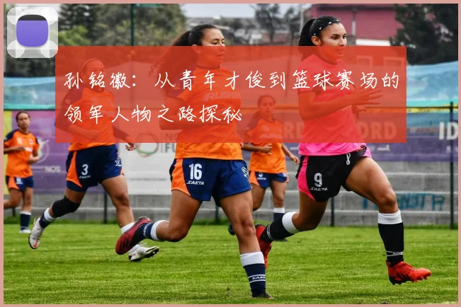 孙铭徽：从青年才俊到篮球赛场的领军人物之路探秘