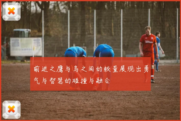 前进之鹰与乌之间的较量展现出勇气与智慧的碰撞与融合